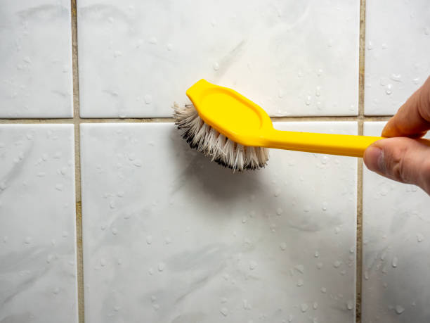 Best Fast Mold Removal  in Palmdale, CA