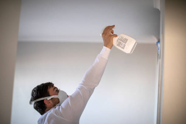 Best Home Mold Removal  in Palmdale, CA