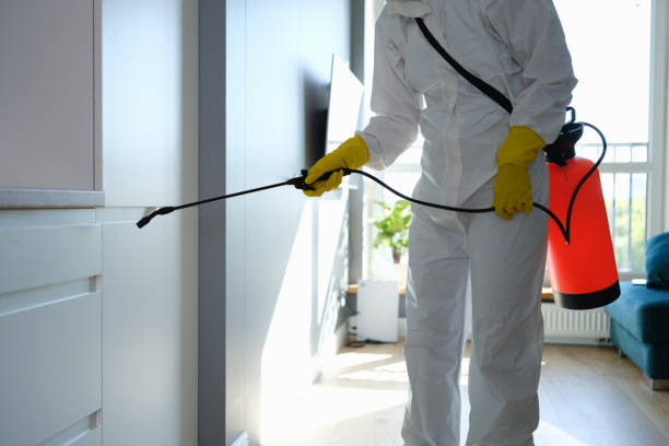 Office Mold Removal Services in Palmdale, CA