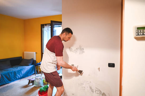 Best Residential Mold Removal  in Palmdale, CA